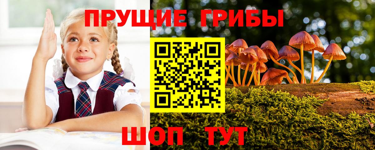 Галлюциногенные грибы прущие грибы  Вход с VPN  Воркута  Галлюциногенные грибы мухоморы 